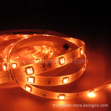 China Shenzhen Flexible 5050 LED Strips 30 Evening Light Lighting